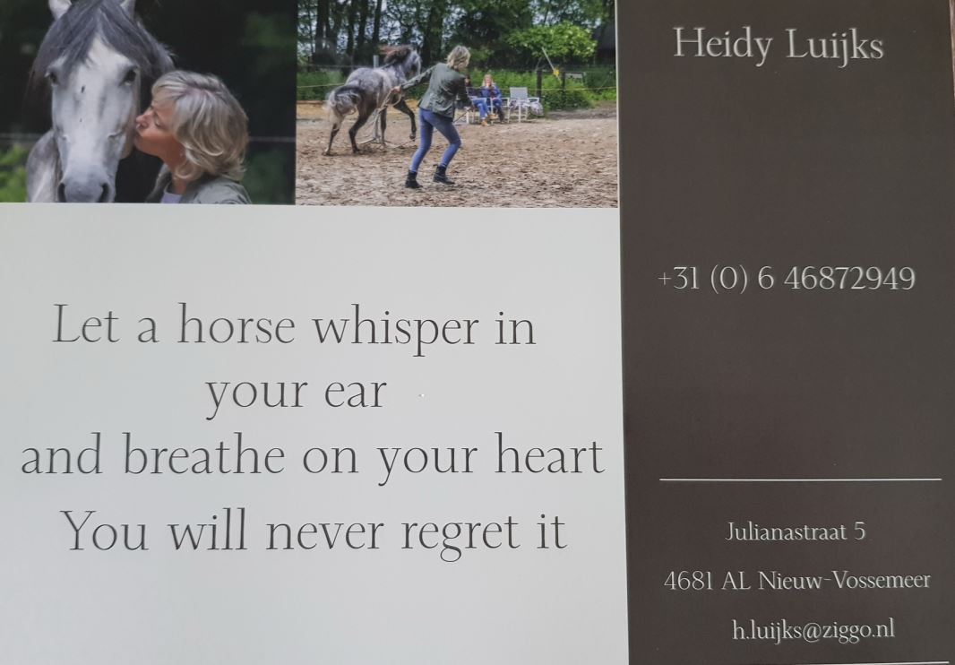 heidy
