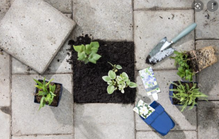 Stoeptegel voor tuinplant