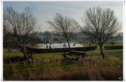 schaatsen003.jpg