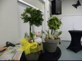 dscn7734a.jpg